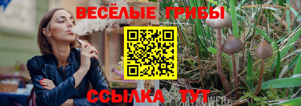 Псилоцибиновые грибы ЛСД Белая Калитва