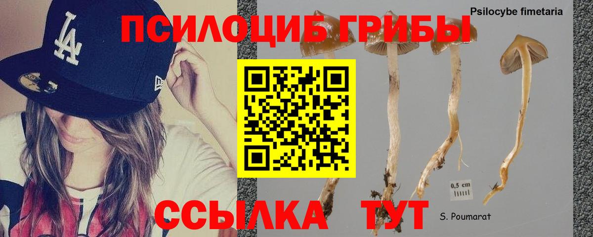 Белая Калитва  Галлюциногенные грибы мухоморы  Вход с VPN 
